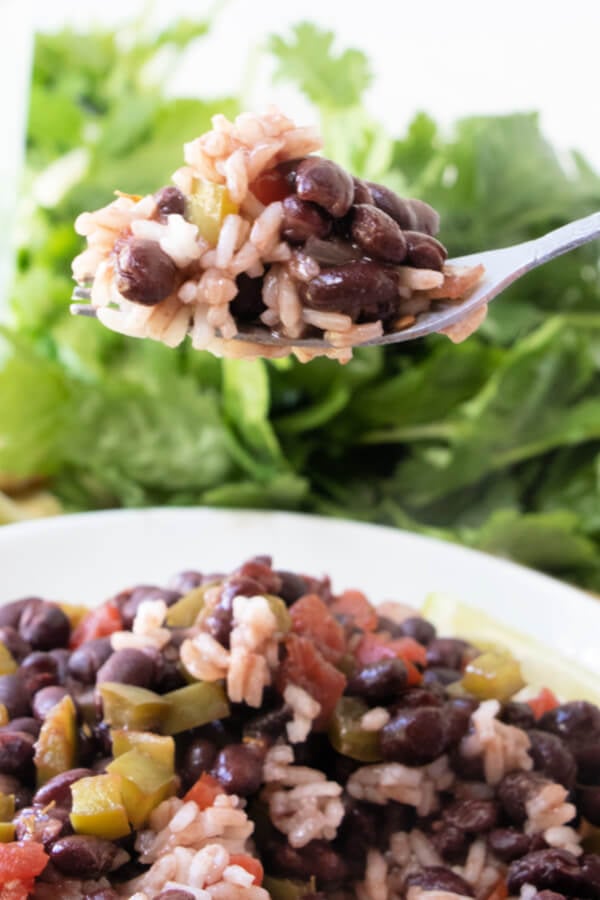 fork with cuban black beans and rice
