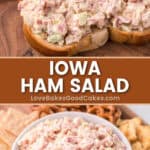 ham salad pin