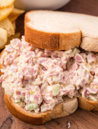 closeup of a ham salad sandwich