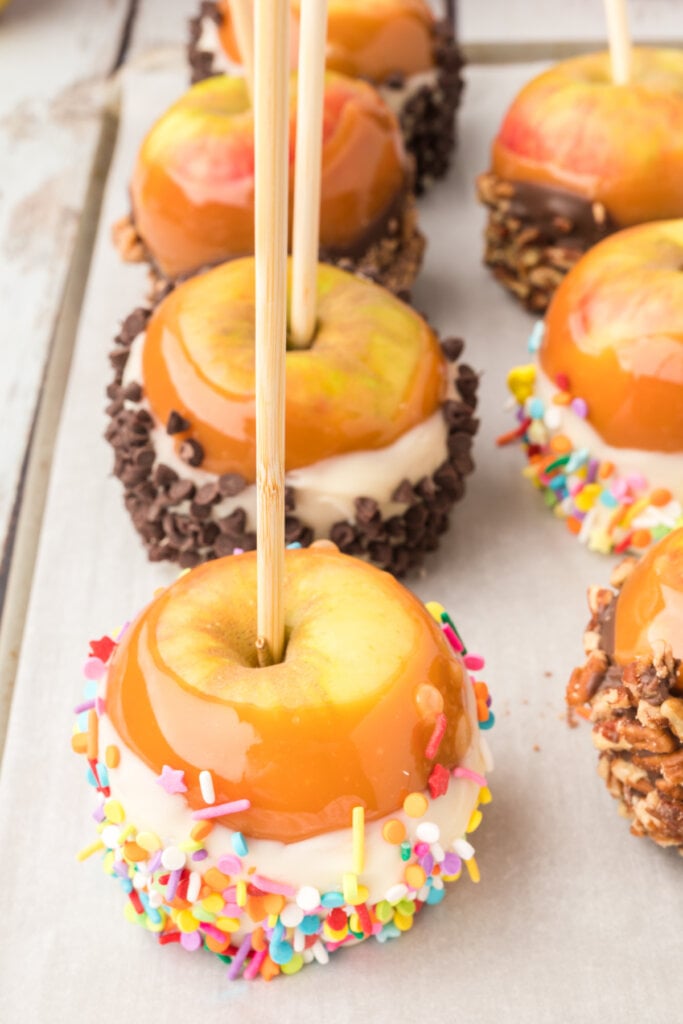 assorted decorated gourmet caramel apples resting after being coated