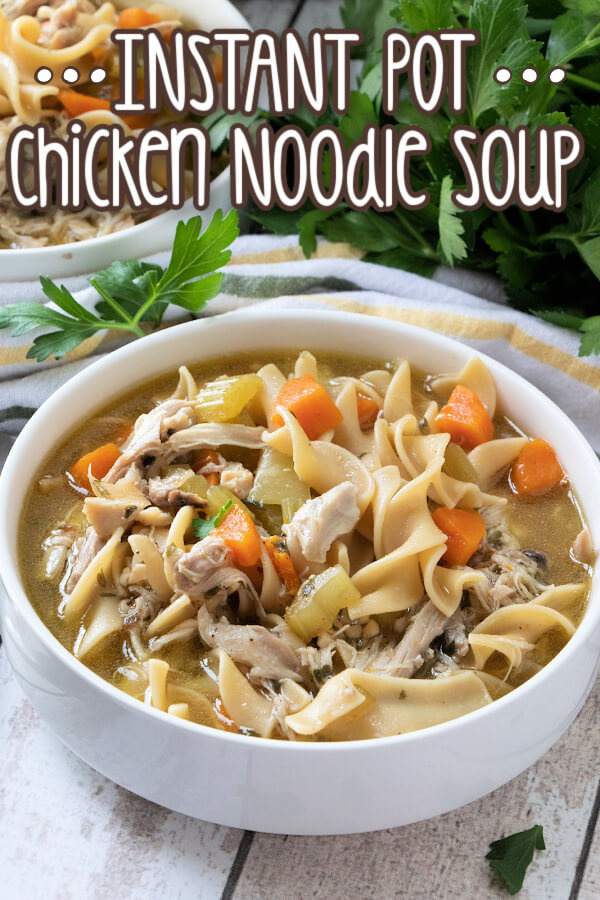 Instant Pot Chicken Noodle Soup - Love Bakes Good Cakes