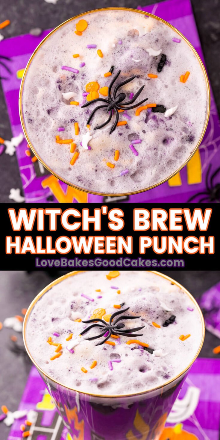 Witches Brew Cocktail Punch • Sunday Table