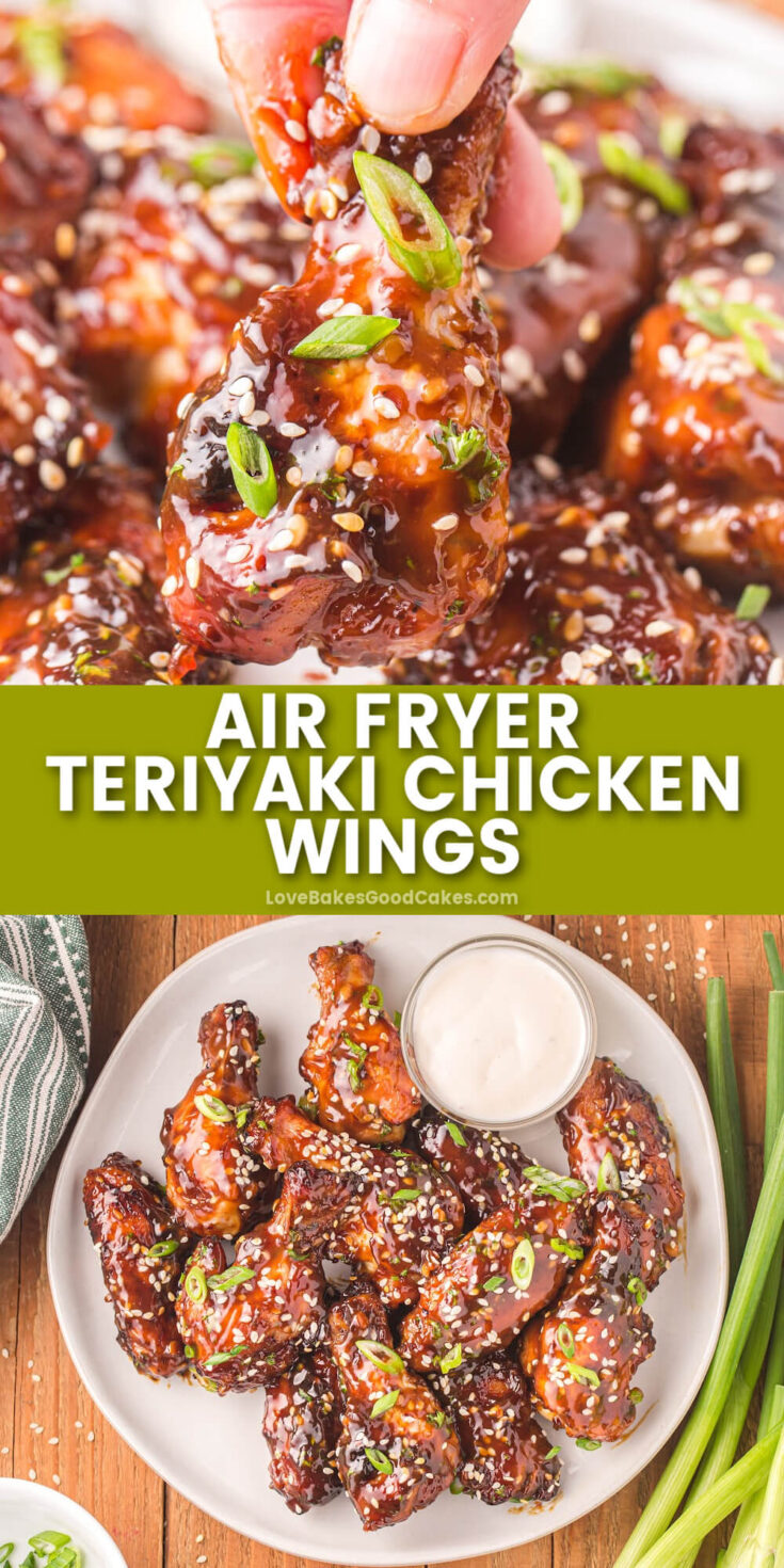 Air Fryer Chicken Wings - Love Bakes Good Cakes