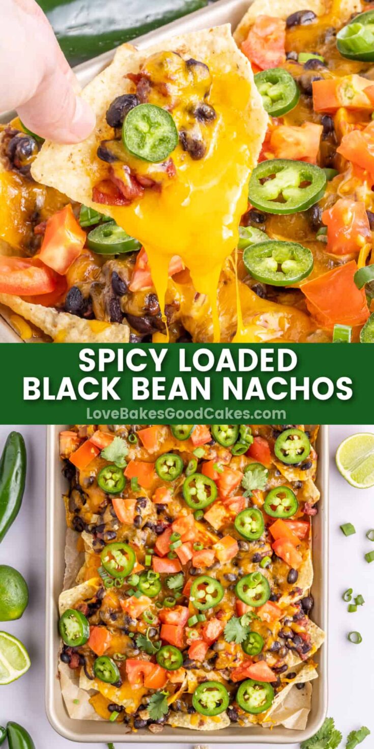 Spicy Loaded Black Bean Nachos - Love Bakes Good Cakes