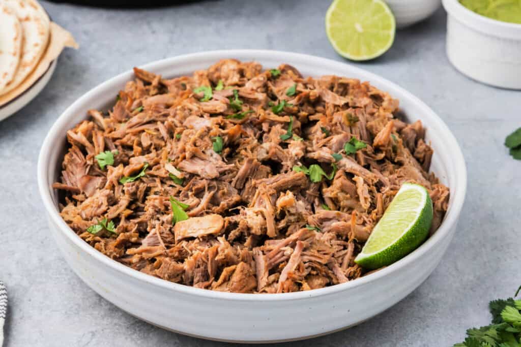 bowl filled with carnitas meat